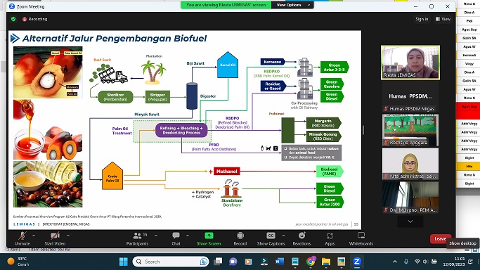 PPSDM Migas Berikan Pemahaman Aspek Hukum Kebijakan Implementasi Bahan Bakar Nabati kepada ASN KESDM